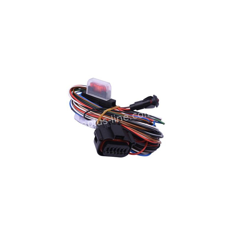 DRAADBOOM ALARM PATROLLINE - UNIVERSEEL