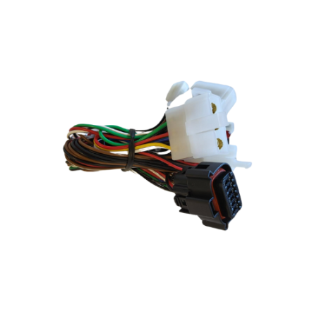 DRAADBOOM ALARM PATROLLINE - JOYMAX 300CC 2018-2020