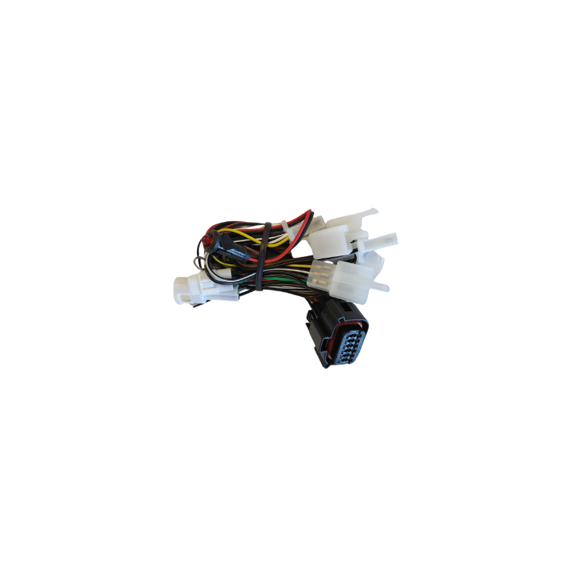 DRAADBOOM ALARM PATROLLINE - PIAGGIO ZIP E5 4T 2022