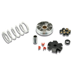 variokit malossi euro-2/4 people, super-8, symply, sco kymco 4t 5113790