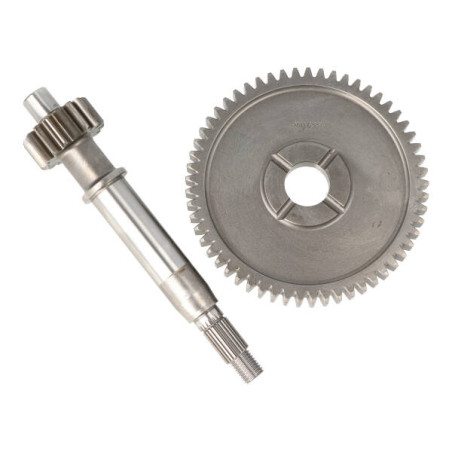 primary shaft Malossi 16/57T agility 16inch, people-s 6714189