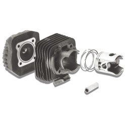 cylinder with head Malossi 70cc 47mm kymco, dj, dj refined, kb-k12, scout 317200