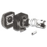 cilinder met kop malossi 70cc 47mm kymco, dj, dj refined, kb-k12, scout 317200