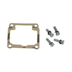 float bowl gasket Dellorto + bolts carb chamber phbg 19-21mm
