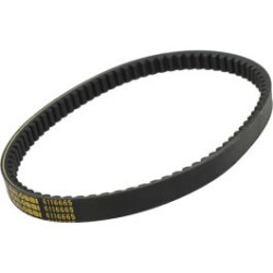 v-snaar malossi 795.5x20 agility 125, agility 150, new like, people-s, super-8 6116665