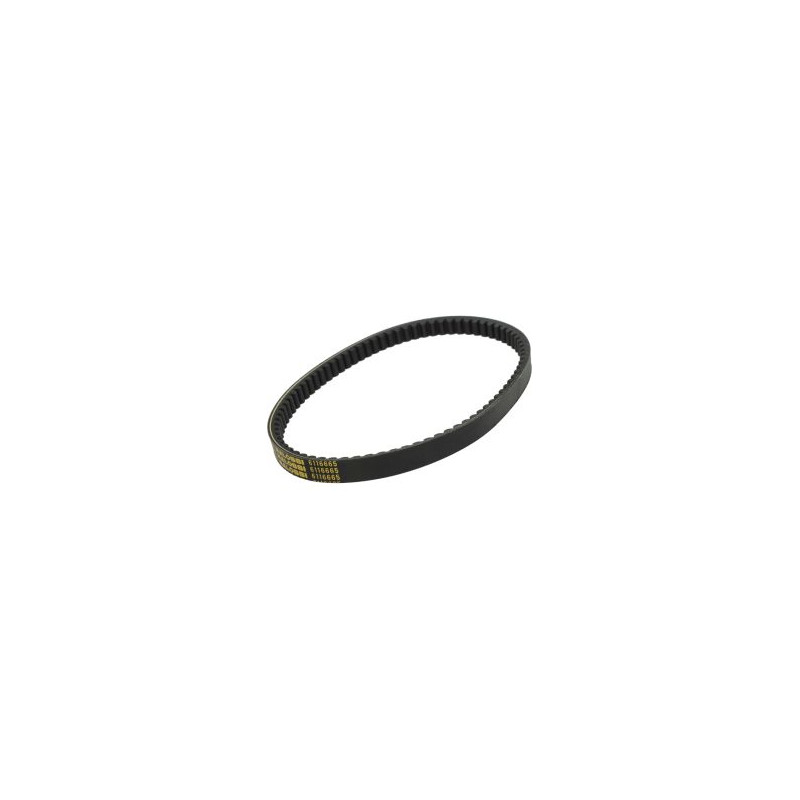 v-snaar malossi 795.5x20 agility 125, agility 150, new like, people-s, super-8 6116665