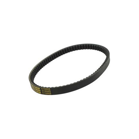 V-belt Malossi 795.5x20 agility 125, agility 150, new like, people-s, super-8 6116665