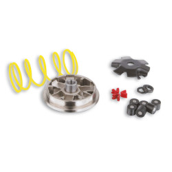 variokit malossi compleet PGO t-rex g-max galaxy big max, tornado 518852