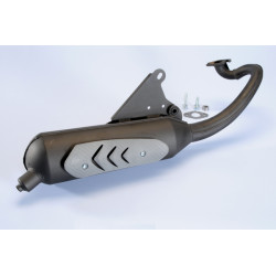 uitlaat polini standaard model big max, pgo, pgo t-rex 200.0345 op op