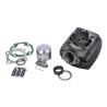 cilinder malossi 65cc 45.5mm peugeot, fox, 103, honda, wallaroo 318384