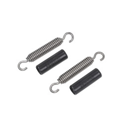 spring set Polini exhaust 228.0005