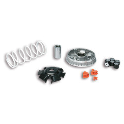 variator kit Malossi E3 2011 forza, sh 125/150 5115552