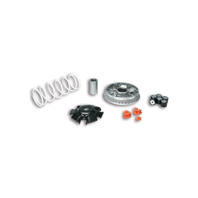 variokit malossi E3 2011 forza, sh 125/150 5115552