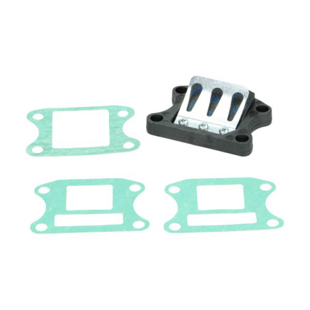 reed valve Polini buxy, dj, speedfight, vision met-in 213.0049