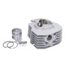 cylinder DMP aluminum nikasil Evo-1 honda 53mm honda, mb8, mt8, mtx80