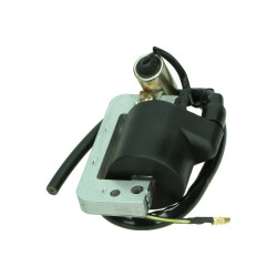 ignition coil DMP + cable honda camino