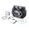 cilinder polini 70cc 46mm honda, camino, px 119.0030