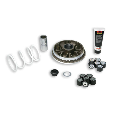variokit malossi mhr euro-2/3/4 Honda 2010 forza, sh300 5114192