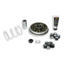 variator kit Malossi mhr euro-2/3/4 honda 2010 forza, sh300 5114192