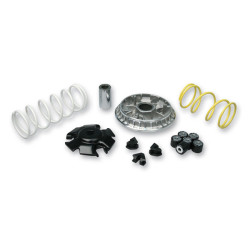 variokit malossi euro 3/4/5 2013 adv150, forza, pcx 125 ie, sh 125/150 5119875