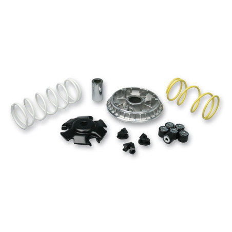 variator kit Malossi euro 3/4/5 2013 adv150, forza, pcx 125 ie, sh 125/150 5119875