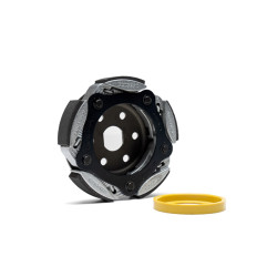 koppelingsegment malossi koppeling euro-5 adv350, forza 350, sco honda, sh350, xadv 5218986
