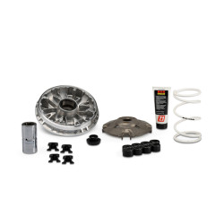 variator kit Malossi euro-5 adv350, forza 350, sco honda, sh350 5118980