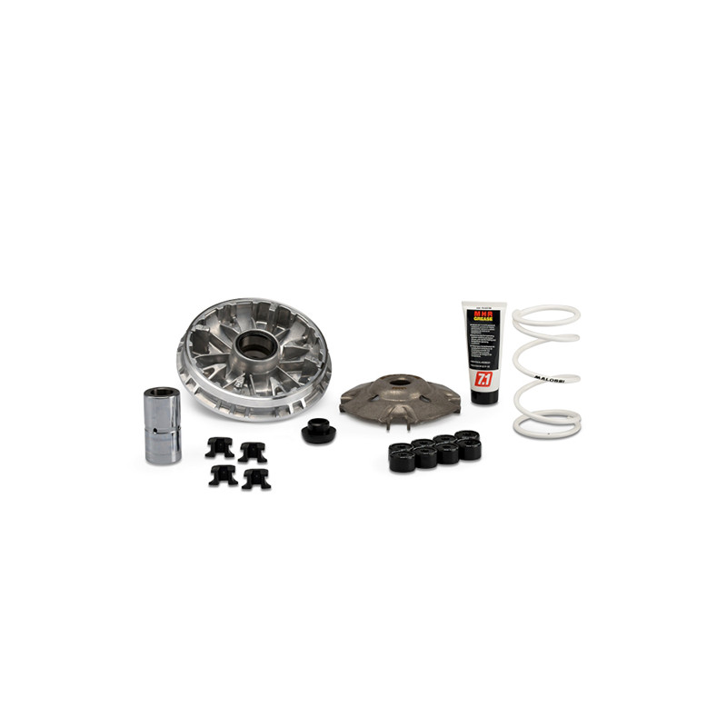 variokit malossi euro-5 adv350, forza 350, sco honda, sh350 5118980