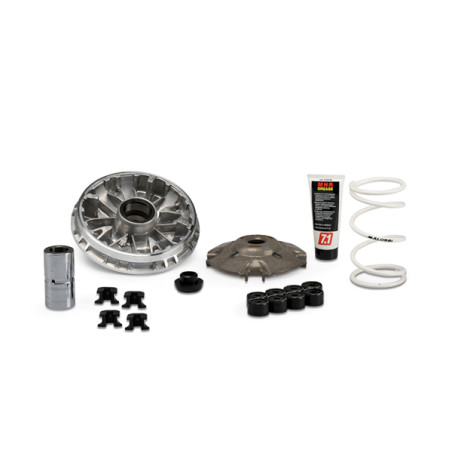 variator kit Malossi euro-5 adv350, forza 350, sco honda, sh350 5118980