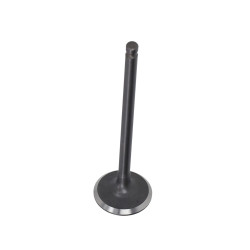 inlaatklep Peugeot origineel django, kisbee 779562