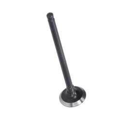 uitlaatklep Peugeot origineel django, kisbee 779563