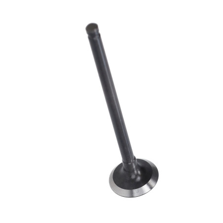 uitlaatklep Peugeot origineel django, kisbee 779563