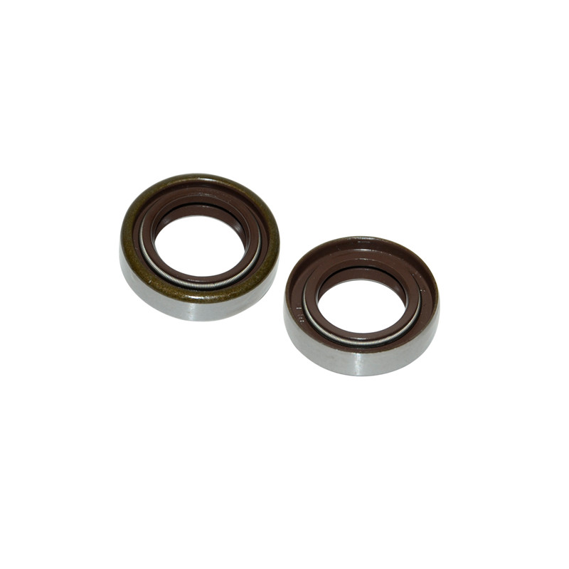 oil seal double spring viton 17x28x7
