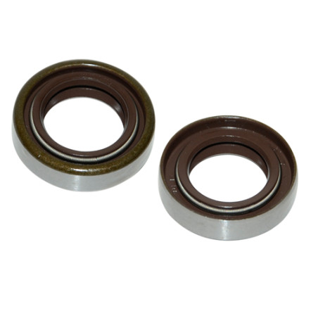 oil seal double spring viton 17x28x7