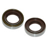 oil seal double spring viton 17x28x7