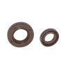 oil seal crankshaft viton o.a.derbi 20x35x7 senda