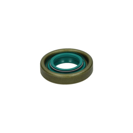 oil seal Bac 17x33x7 dfd