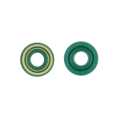 keerring 17x40x7/01 dgd