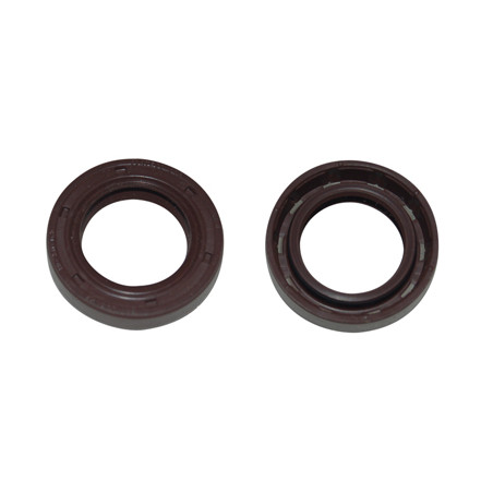 oil seal Viton 19x30x7