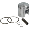 piston Meteor peg 10 41.25mm rapido, st, Vision pc1272
