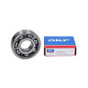 bearing SKF 6304 c4 20x52x15