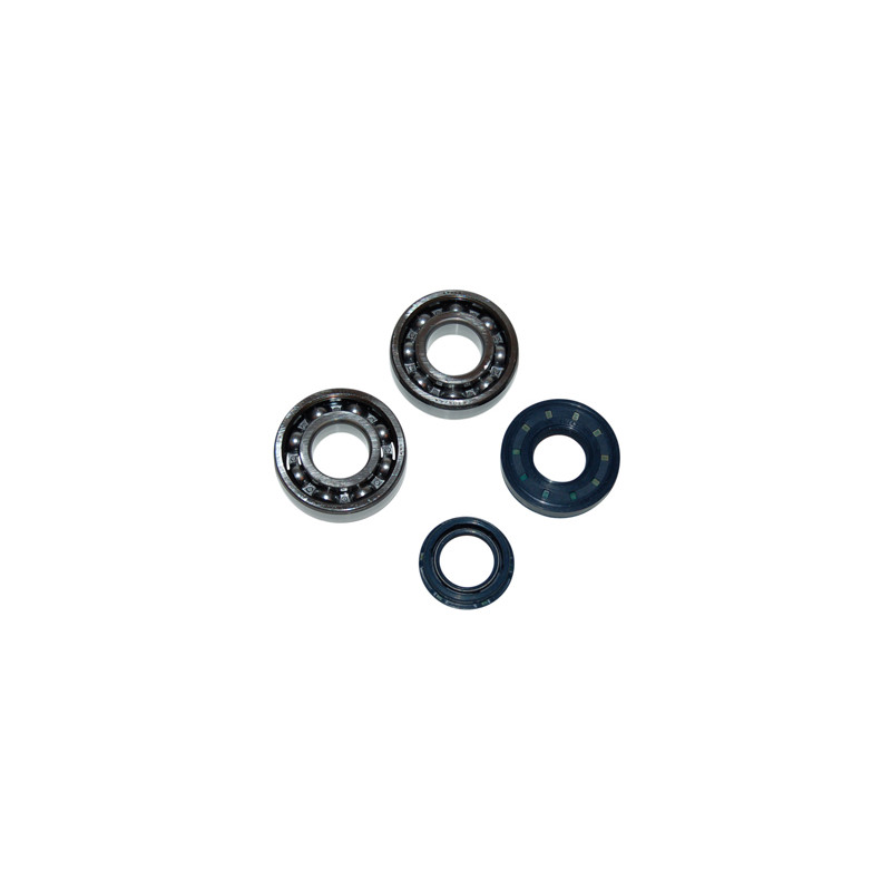 bearing and seal set DMP crankshaft minarelli hor
