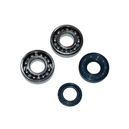 bearing and seal set DMP crankshaft minarelli hor