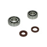 bearing and seal set DMP crankshaft A-quality peugeot-4t, sco sym 4t, sco china 4t, sco gy6, sco kymco 4t