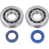 bearing and seal set Polini crankshaft race 50cc sco piaggio 2t 282.0001