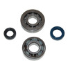bearing and seal set CIF crankshaft 2st speedfight2006, viva2006