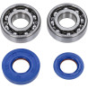 bearing and seal set Polini crankshaft race minarelli hor+vert 282.0002