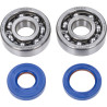 lager+keerringset polini krukas race fantic enduro, fantic motard, sherco , minarelli am6 282.0003