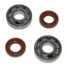 bearing and seal set CIF crankshaft derbi, rs50, gp, gpr, senda, zulu