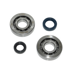 lager+keerringset cif krukas skf buxy, peugeot-2t, speedake, speedfight 2, viva